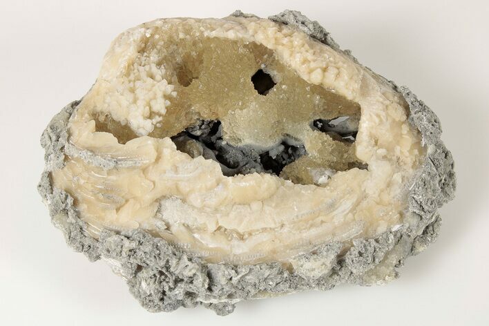 Fossil Clam with Fluorescent Calcite Crystals - Ruck's Pit, FL #191774